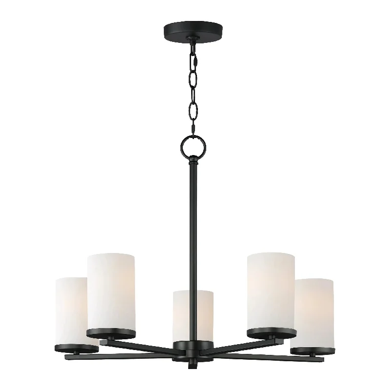 Track lighting for accentuating artworksLateral Chandelier