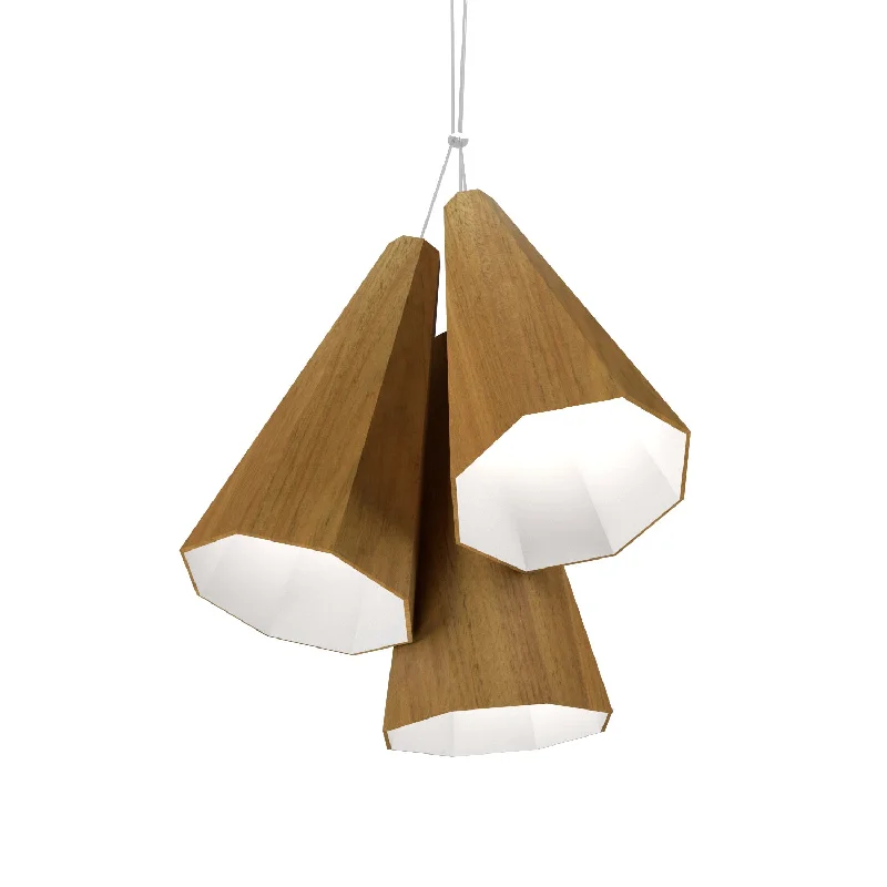 Rustic Ceiling Lights with Reclaimed Wood and Distressed FinishesRustic Ceiling Lights with Reclaimed Wood and Distressed FinishesAccord Facet 1232.09 Pendant Light - Louro Freijo Rustic Ceiling Lights with Reclaimed Wood and Distressed FinishesRustic Ceiling Lights with Reclaimed Wood and Distressed FinishesAccord Facet 1232.09 Pendant Light - Louro Freijo